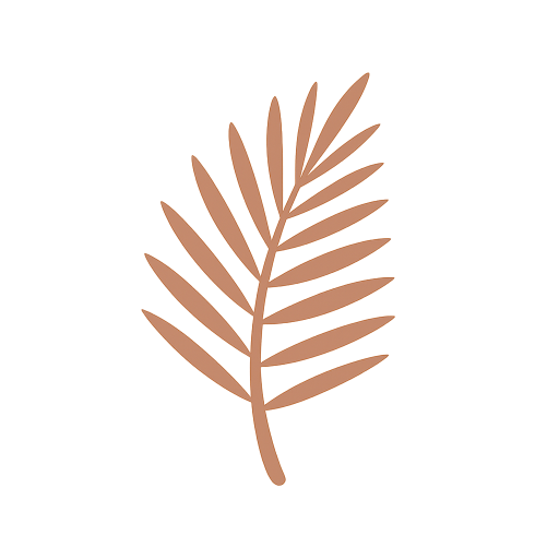 site icon 512x512